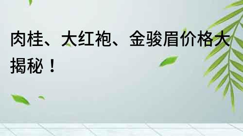 肉桂、大紅袍、金駿眉價(jià)格大揭秘！