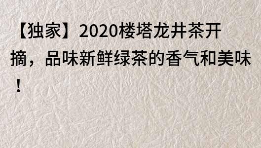 【獨家】2020樓塔龍井茶開摘，品味新鮮綠茶的香氣和美味！