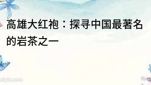 高雄大紅袍：探尋中國最著名的巖茶之一
