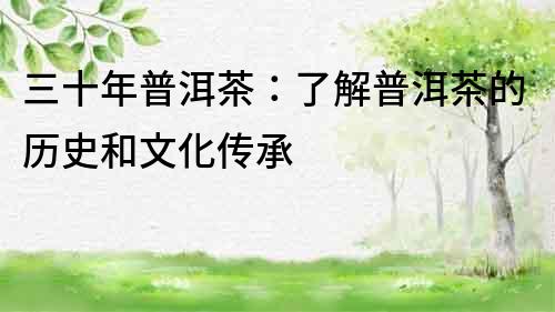 三十年普洱茶：了解普洱茶的歷史和文化傳承