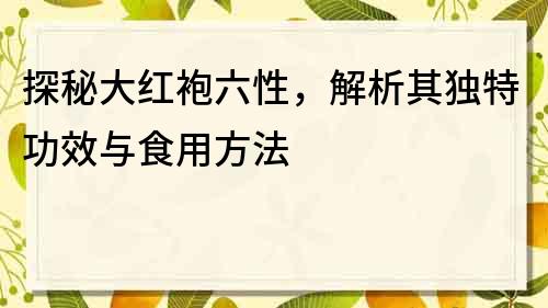 探秘大紅袍六性，解析其獨特功效與食用方法