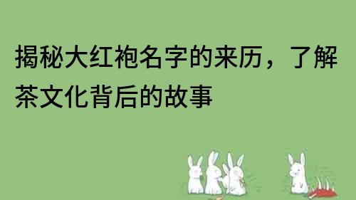 揭秘大紅袍名字的來歷，了解茶文化背后的故事