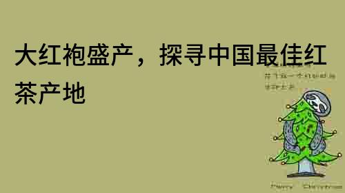 大紅袍盛產(chǎn)，探尋中國最佳紅茶產(chǎn)地