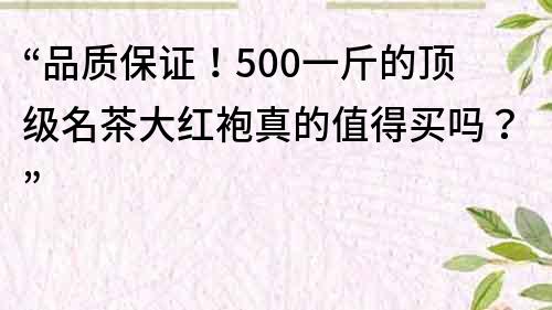 “品質保證！500一斤的頂級名茶大紅袍真的值得買嗎？”