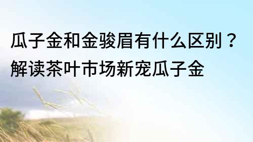 瓜子金和金駿眉有什么區別？解讀茶葉市場新寵瓜子金