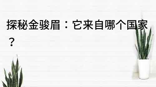 探秘金駿眉：它來自哪個國家？