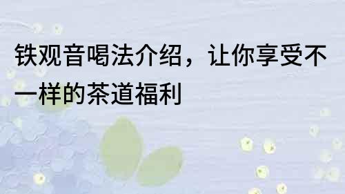 鐵觀音喝法介紹，讓你享受不一樣的茶道福利