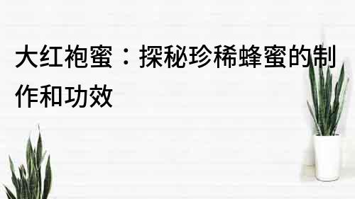 大紅袍蜜：探秘珍稀蜂蜜的制作和功效