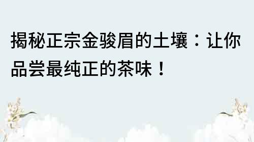 揭秘正宗金駿眉的土壤：讓你品嘗最純正的茶味！