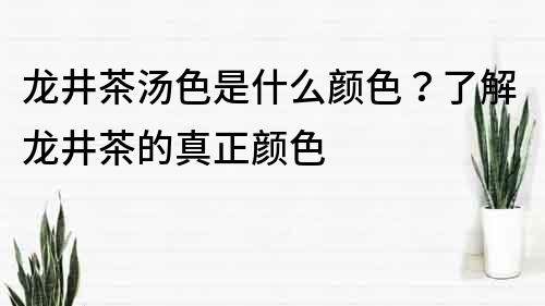 龍井茶湯色是什么顏色？了解龍井茶的真正顏色
