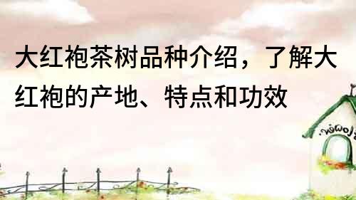 大紅袍茶樹(shù)品種介紹，了解大紅袍的產(chǎn)地、特點(diǎn)和功效