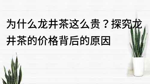 為什么龍井茶這么貴？探究龍井茶的價格背后的原因