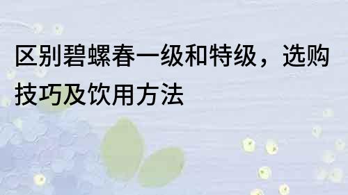 區別碧螺春一級和特級，選購技巧及飲用方法