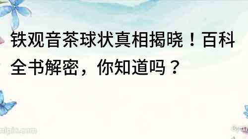 鐵觀音茶球狀真相揭曉！百科全書解密，你知道嗎？