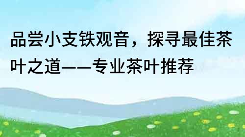 品嘗小支鐵觀音，探尋最佳茶葉之道——專業(yè)茶葉推薦