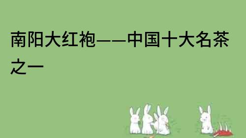 南陽大紅袍——中國十大名茶之一