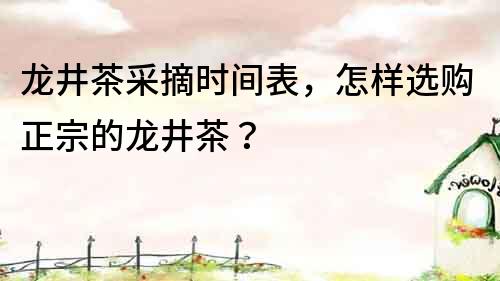 龍井茶采摘時間表，怎樣選購正宗的龍井茶？