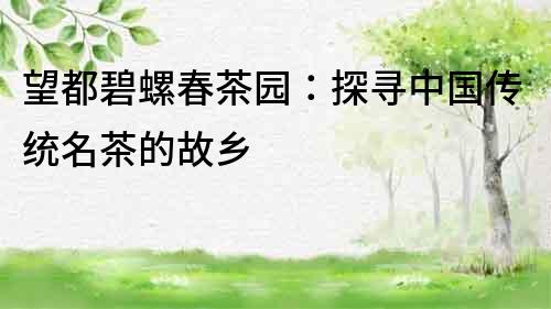 望都碧螺春茶園：探尋中國傳統名茶的故鄉