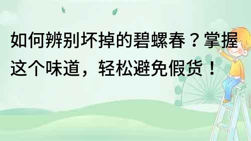 如何辨別壞掉的碧螺春？掌握這個味道，輕松避免假貨！