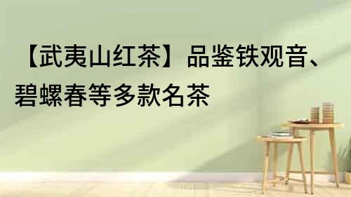【武夷山紅茶】品鑒鐵觀音、碧螺春等多款名茶