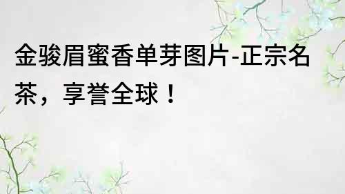 金駿眉蜜香單芽圖片-正宗名茶，享譽全球！