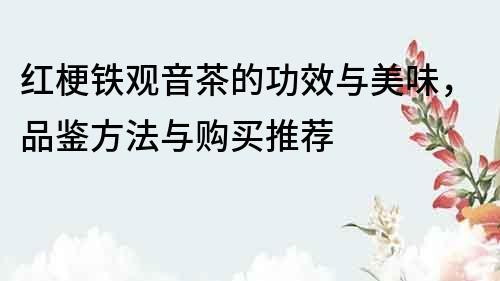 紅梗鐵觀音茶的功效與美味，品鑒方法與購買推薦
