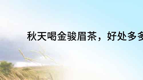 秋天喝金駿眉茶，好處多多