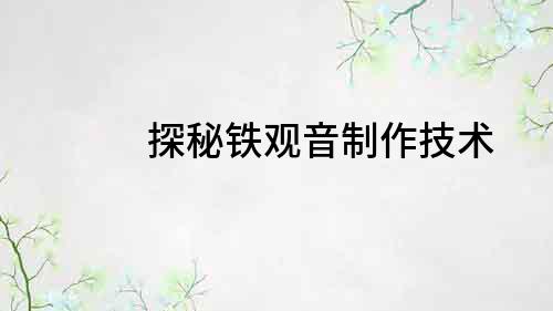 探秘鐵觀音制作技術