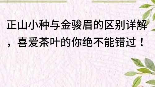 正山小種與金駿眉的區別詳解，喜愛茶葉的你絕不能錯過！