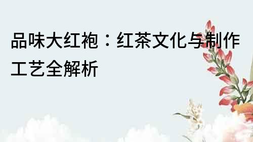 品味大紅袍：紅茶文化與制作工藝全解析