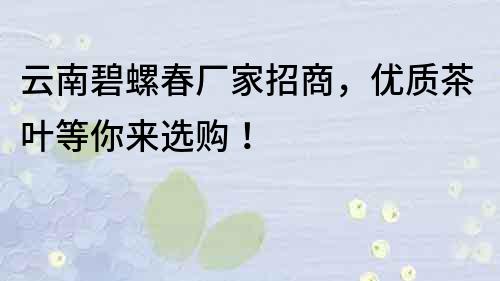 云南碧螺春廠家招商，優質茶葉等你來選購！