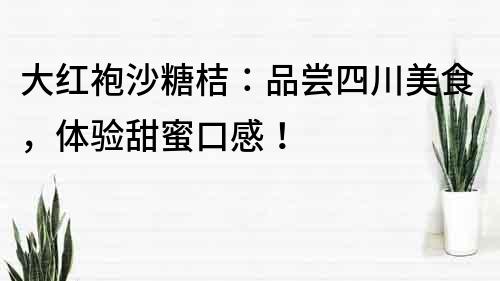 大紅袍沙糖桔：品嘗四川美食，體驗甜蜜口感！