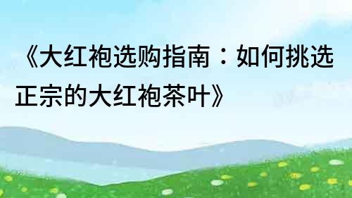 《大紅袍選購指南：如何挑選正宗的大紅袍茶葉》
