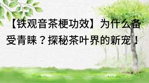 【鐵觀音茶梗功效】為什么備受青睞？探秘茶葉界的新寵！