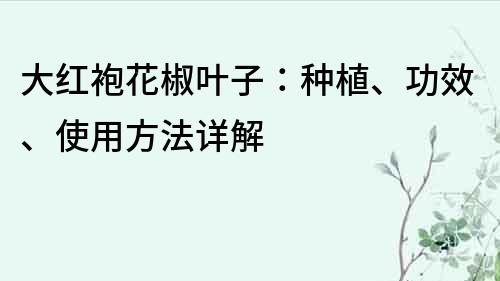 大紅袍花椒葉子：種植、功效、使用方法詳解