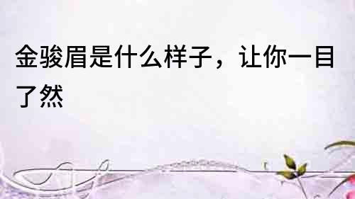 金駿眉是什么樣子，讓你一目了然