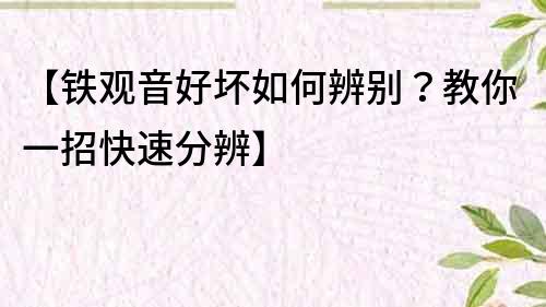 【鐵觀音好壞如何辨別？教你一招快速分辨】