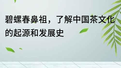 碧螺春鼻祖，了解中國(guó)茶文化的起源和發(fā)展史