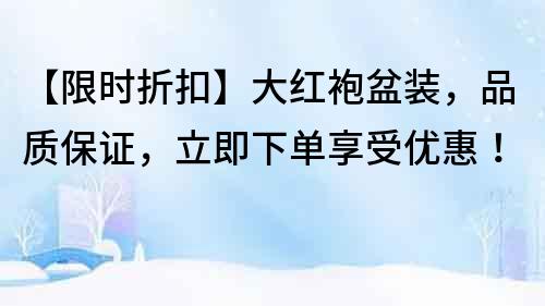【限時折扣】大紅袍盆裝，品質保證，立即下單享受優惠！
