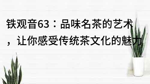 鐵觀音63：品味名茶的藝術，讓你感受傳統茶文化的魅力
