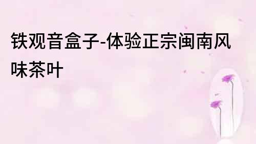 鐵觀音盒子-體驗正宗閩南風味茶葉