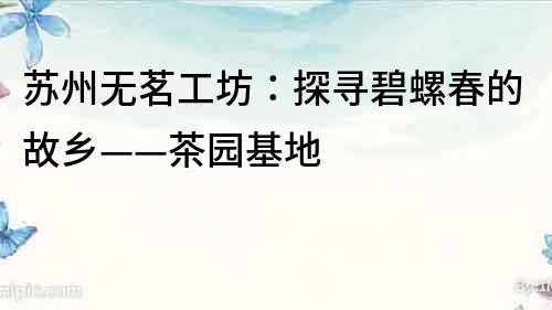 蘇州無茗工坊：探尋碧螺春的故鄉——茶園基地