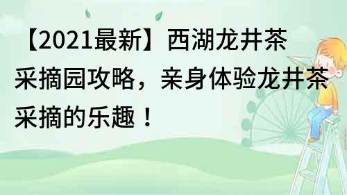 【2023最新】西湖龍井茶采摘園攻略，親身體驗龍井茶采摘的樂趣！