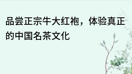 品嘗正宗牛大紅袍，體驗真正的中國名茶文化