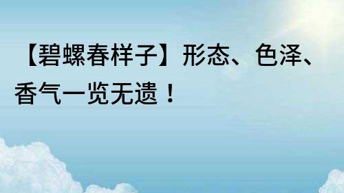 【碧螺春樣子】形態、色澤、香氣一覽無遺！