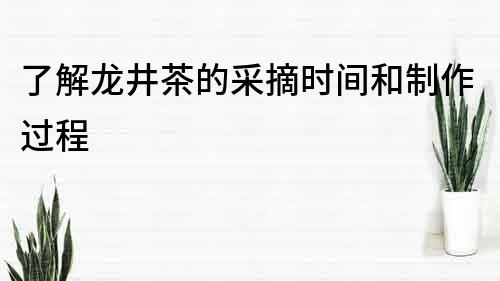 了解龍井茶的采摘時間和制作過程