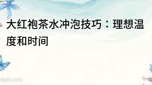 大紅袍茶水沖泡技巧：理想溫度和時間