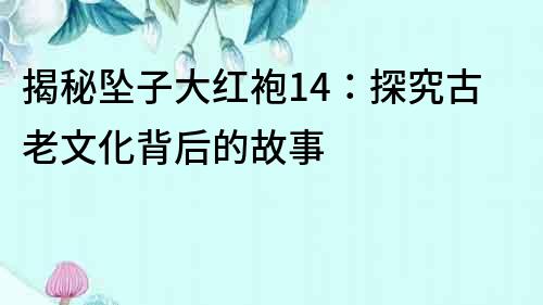 揭秘墜子大紅袍14：探究古老文化背后的故事