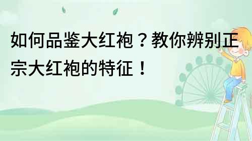 如何品鑒大紅袍？教你辨別正宗大紅袍的特征！