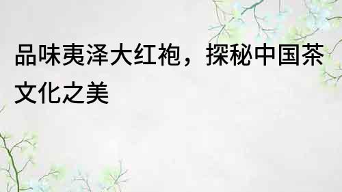 品味夷澤大紅袍，探秘中國茶文化之美